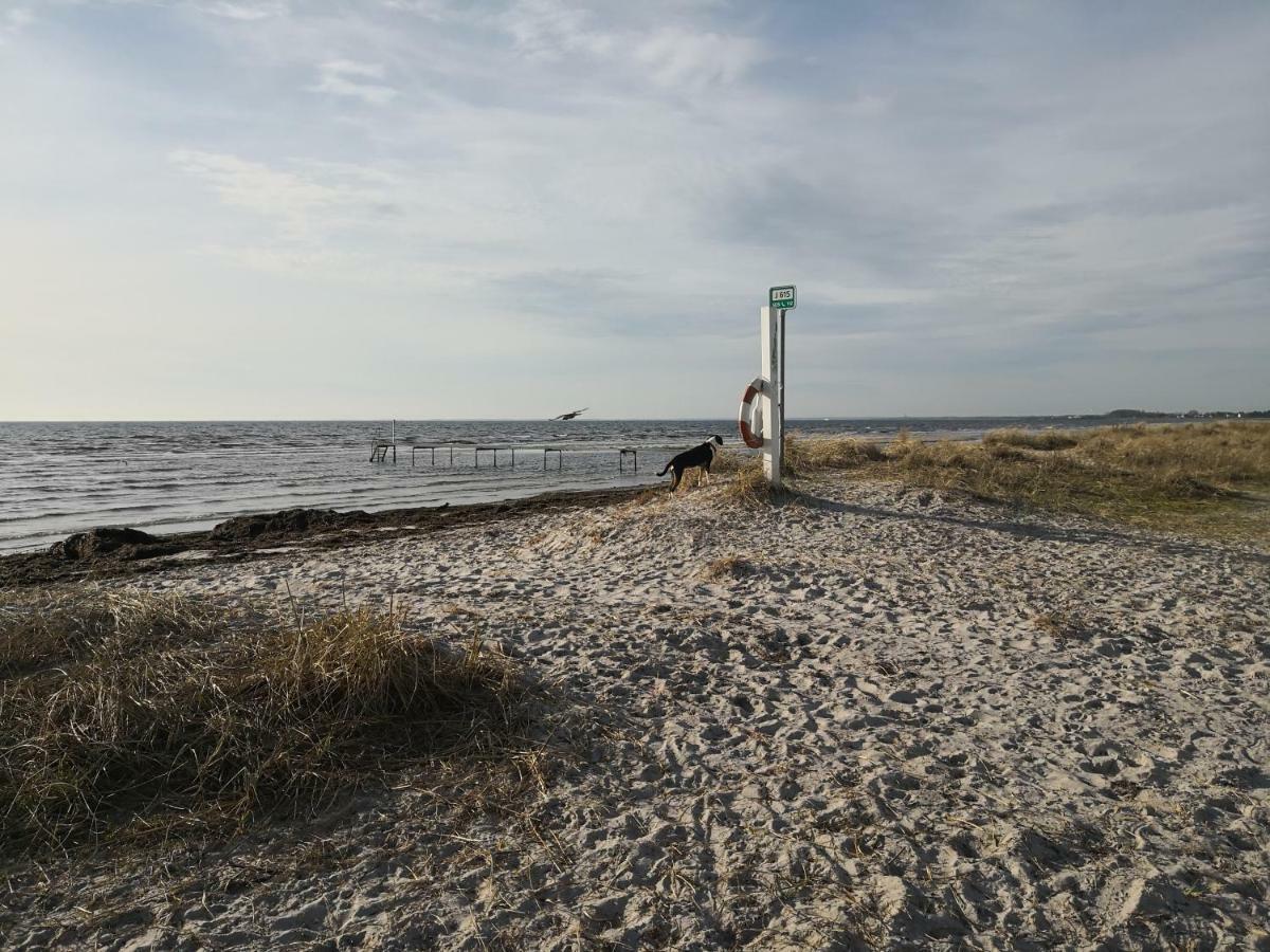 Hotel Spurvereden Ved Vandet Greve Zewnętrze zdjęcie